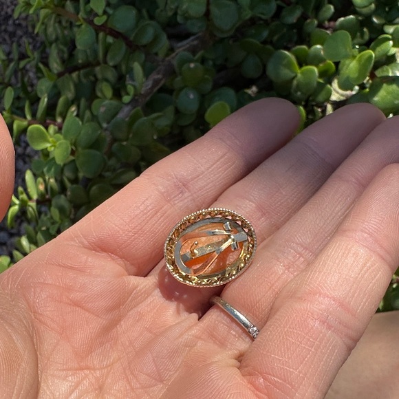 Elegant Gold and Cream Cameo Earrings - Picture 11 of 13